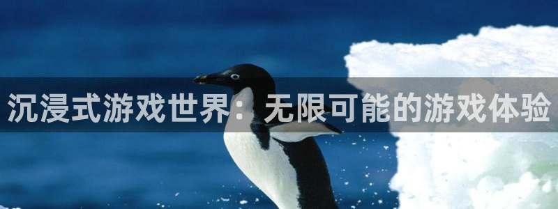 杏鑫代理注册登录不上