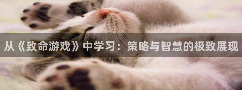 杏鑫平台开户