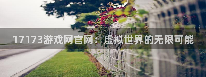 杏鑫平台直属哪个公司