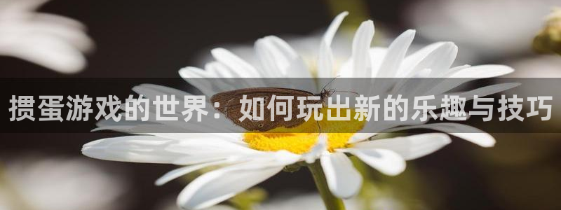 杏鑫注册登录平台：掼蛋游戏的世界：如何玩出新的乐趣与技巧