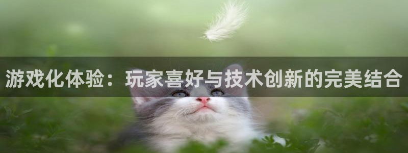 杏鑫有亏损返点吗：游戏化体验：玩家喜好与技术创新的完美结合