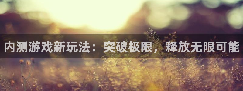 杏鑫代理注册登录不了：内测游戏新玩法：突破极限，释放无限可能