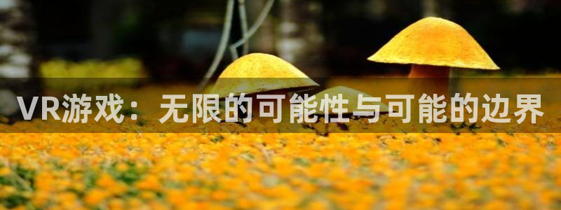杏鑫注册登录中心：VR游戏：无限的可能性与可能的边界