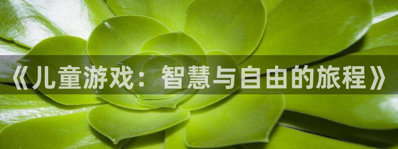 杏鑫官网：《儿童游戏：智慧与自由的旅程》