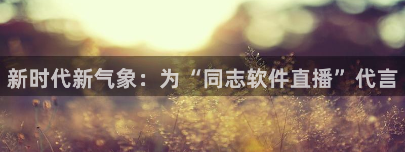 黑白直播在线篮球