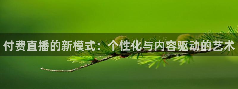 黑白篮球直播官网