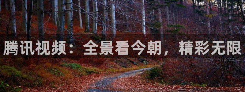 黑白直播nba直播免费：腾讯视频：全景看今朝，精彩无限