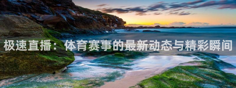 黑白直播吧nba直播：极速直播：体育赛事的最新动态与精彩瞬间