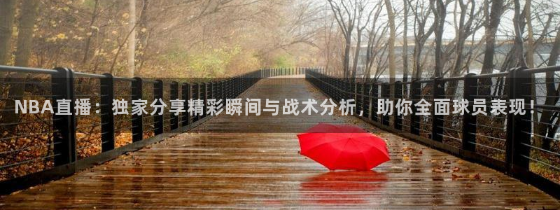黑白体育app官网入口：NBA直播：独家分享精彩瞬间与战术分析，助你全面球员表现！