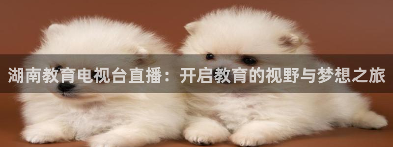黑白体育nba直播：湖南教育电视台直播：开启教育的视野与梦想之旅