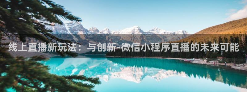 黑白体育nba免费观看