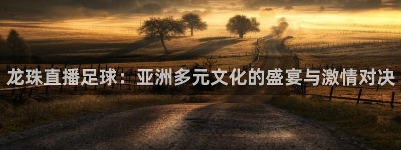 黑白直播体育nba直播下载