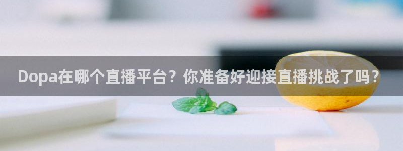 黑白直播nba免费观看篮球下载