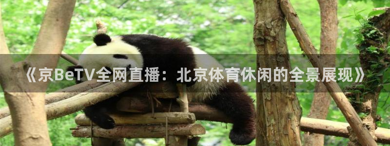 黑白nba直播免费