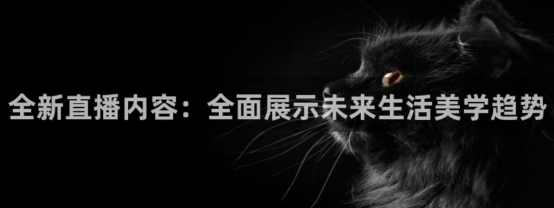 黑白篮球直播免费观看