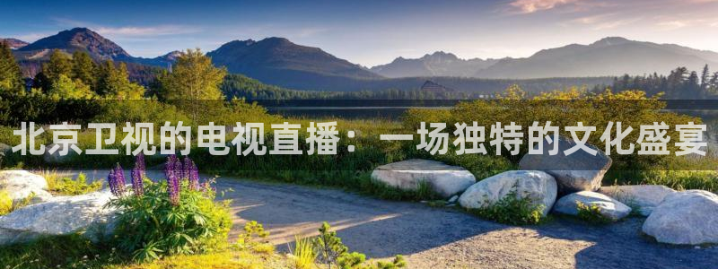 黑白足球视频直播
