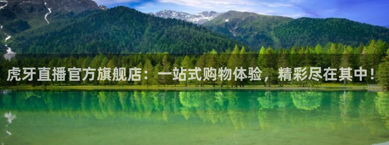 黑白体育直播网