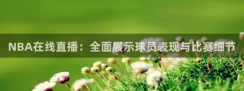 黑白直播nba免费观看：NBA在线直播：全面展示球员表现与比赛细节