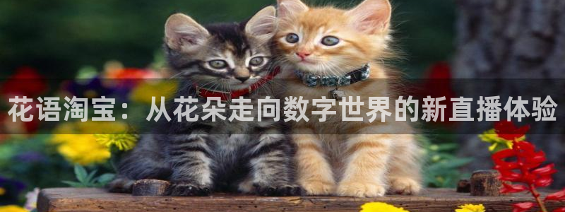 黑白体育 直播：花语淘宝：从花朵走向数字世界的新直播体验