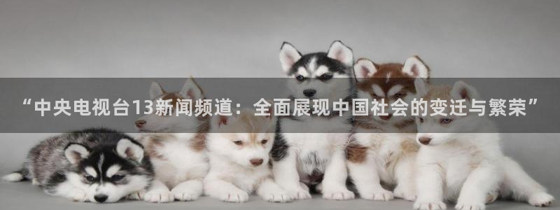 黑白nba直播免费：“中央电视台13新闻频道：全面展现中国社会的变迁与繁荣”